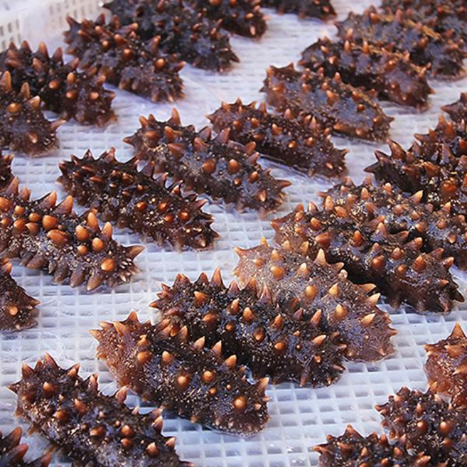 해미애찬 국내산 불린냉동해삼 해자삼(대)500g, 1개, 단품