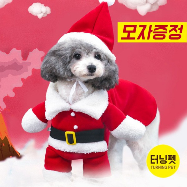 [터닝펫] [당일출고] 반려동물 3D산타 옷세트/크리스마스 옷/ 반려견묘 산타코스튬 (XS- XL), XL, 1개