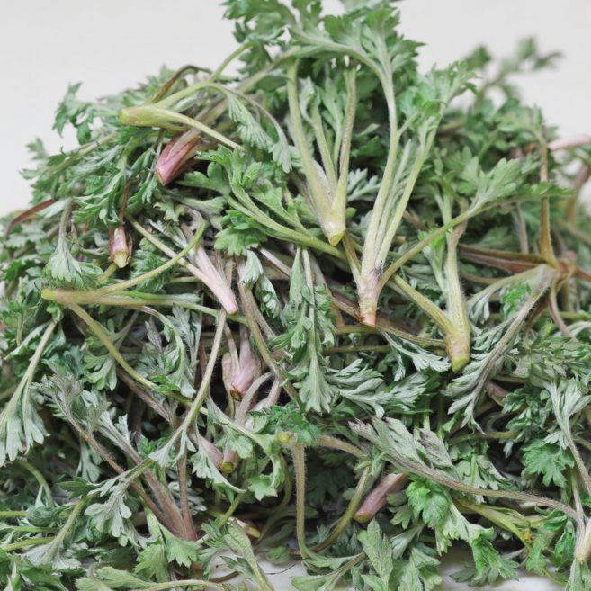 쑥 국내산 해풍 쑥 노지 생쑥, 1박스, 1kg