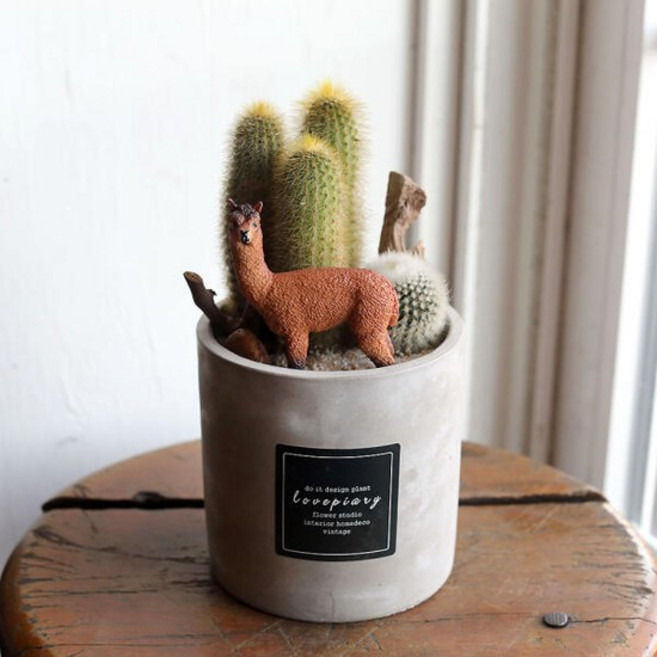 사막의 선인장 알파카 스토리팟 DIY 키트 만들기 테라리움 다육화분, 알파카 스토리팟 DIY KIT