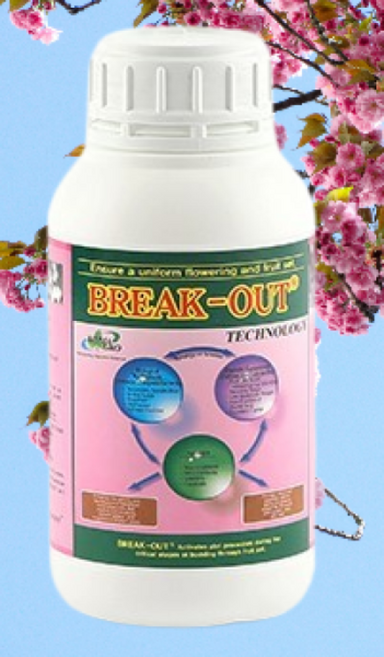 개화촉진제 500ml 스페인산 액비 식물영양제 비료 다육이 제라늄 브레이크아웃, 1세트