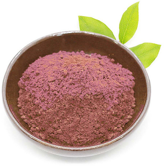 동의한약나라 산수유 분말, 100g, 1개