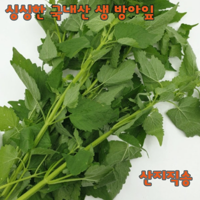 십이계절 국내산 생 방아잎 방앗잎, 1개, 2kg