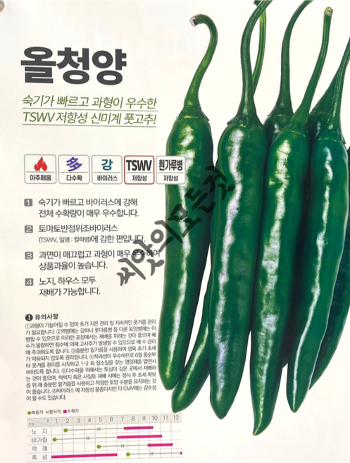 올청양고추씨앗 1200립 TSWV 흰가루병 저항성 바이러스내병계 매운고추씨앗 종자, 1개