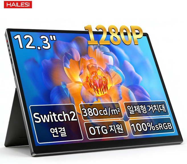 HAILESI S123 1.9K/2.4K 12.3인치 터치식 휴대용 모니터, 1920*1280(터치 불가), 31.24cm