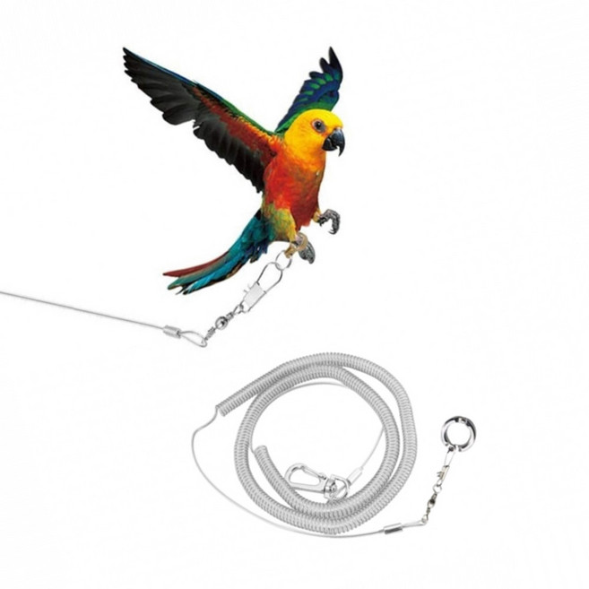 앵무새 발목링 하네스 리드줄 산책 용품 줄 링 비행훈련, 1개, 5호