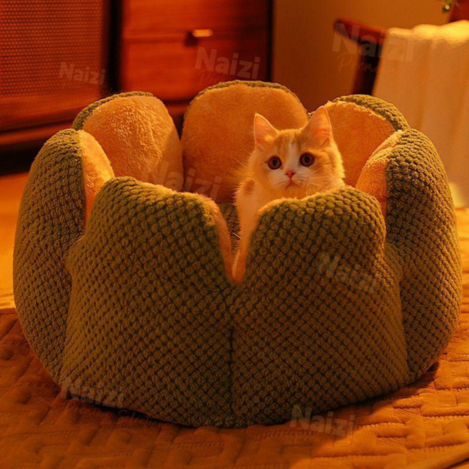花瓣仙人掌貓咪窩 冬季保暖可愛狗窩 四季通用小型貓窩 狗窩, 1個