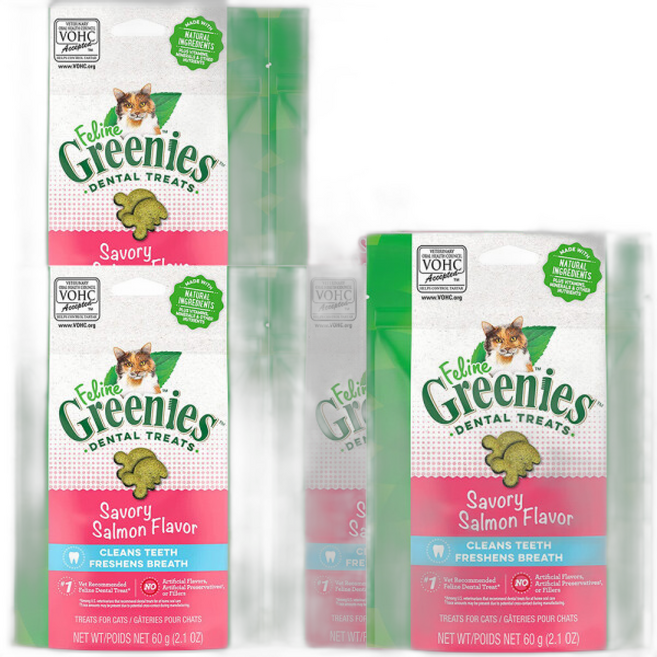 그리니즈 필라인 연어 고양이 이빨과자 치석제거 간식, 5개, 60g, 제품별 상이