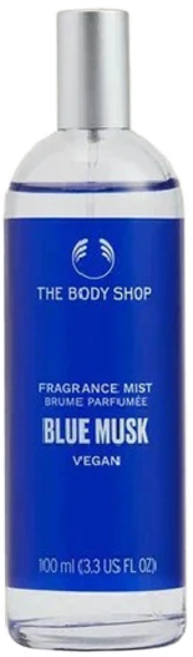 후레그런스 미스트 블루 머스크, 1개, 100ml - 쿠팡