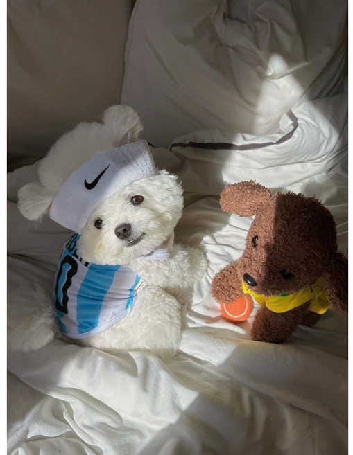 강아지 여름옷 쿨에버매쉬 축구복 유니폼 쿨나시s, 스카이블루(아르헨티나), 1