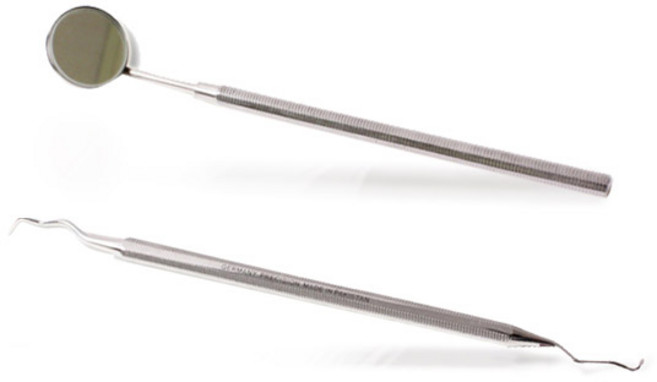 의료용 바다르산스 스텐 치석제거기 + 치경세트, 1세트