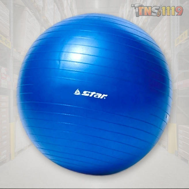티엔에스 짐볼 스타 EB210-07 마사지 45cm 요가 필라테스용 1개입