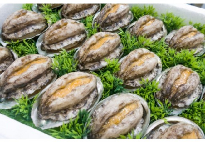 명절선물세트 완도전복 VIP 황제전복 대왕전복 7~8미 3kg 예작수산참전복, 32개, VIP대왕전복 4kg