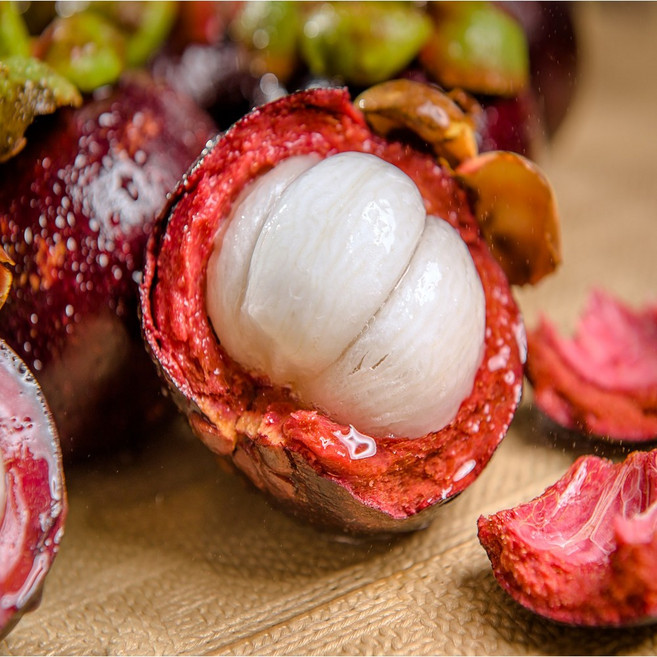 [항공직송] 농산애 태국 망고스틴, 1박스, 1kg