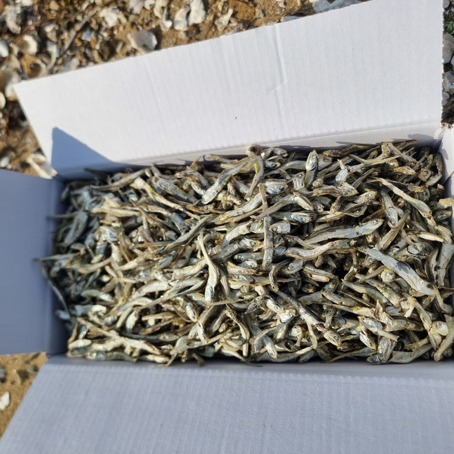 (산지직송) 실속형 국물 다시멸치 1.5kg 다-10 가정용 육수멸치, 1개