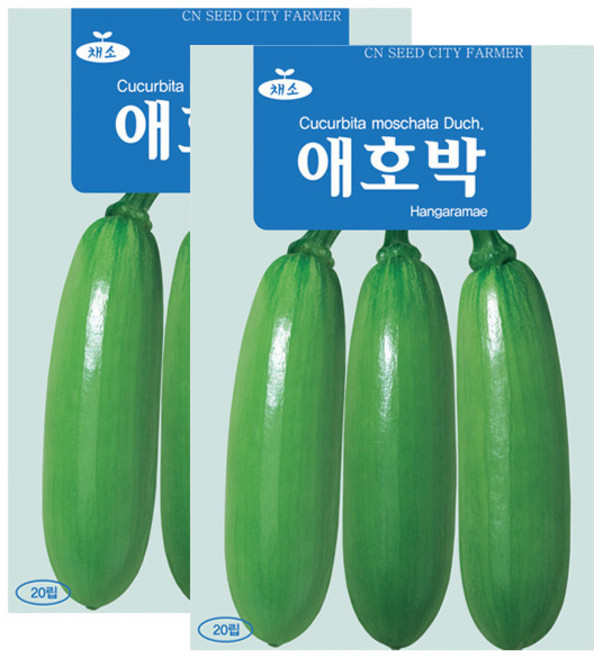 세인화분 애호박 20립 - 국산 호박씨 호박씨앗, 2개