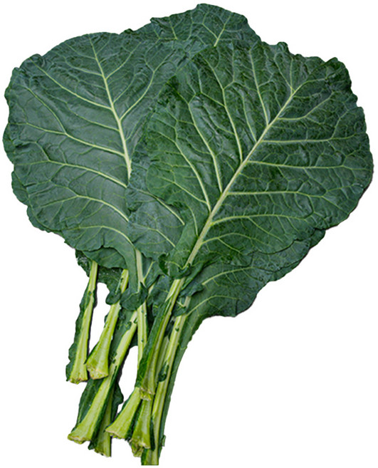 친환경 유기농 케일 1kg (녹즙용 주스용 스무디용 샐러드용 녹즙재료), 2kg, 1개