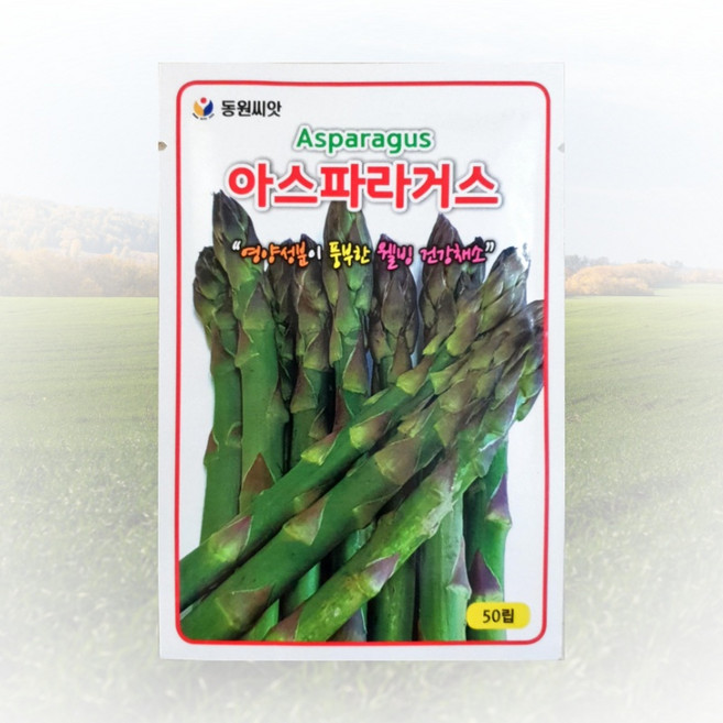 농사친구 아스파라거스 씨앗 50립 동원 씨 종자 모종 항암배추 히카마 고추모종 공심채, 1개