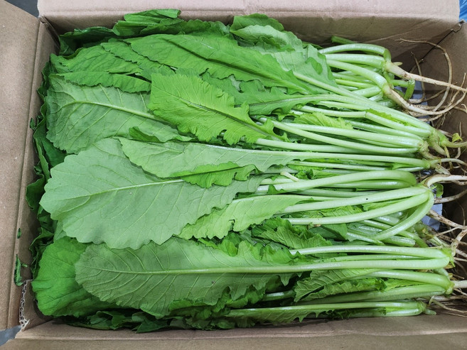 열무4kg 2박스묶음/국내산/자연대로팜웨이, 2개