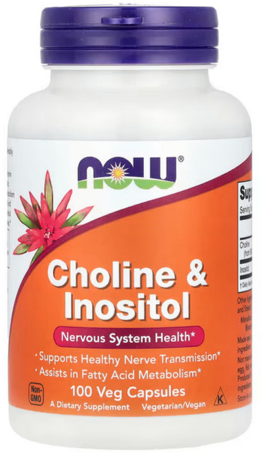 나우푸드 콜린 & 이노시톨 500mg 베지 캡슐, 100정, 1개