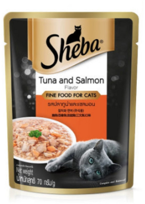 쉬바 고양이 주식 파우치, 닭+연어, 70g, 24개