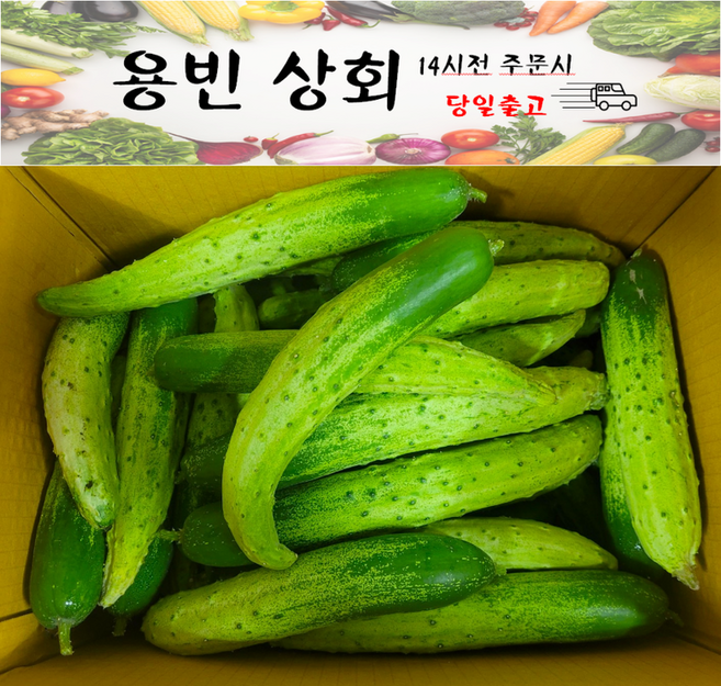 ( 용빈 상회 ) 국내산 백오이 백다다기 다다기오이 못난이오이 업소용 중품 C품 9kg~10kg내외, 1박스, 9kg~10kg