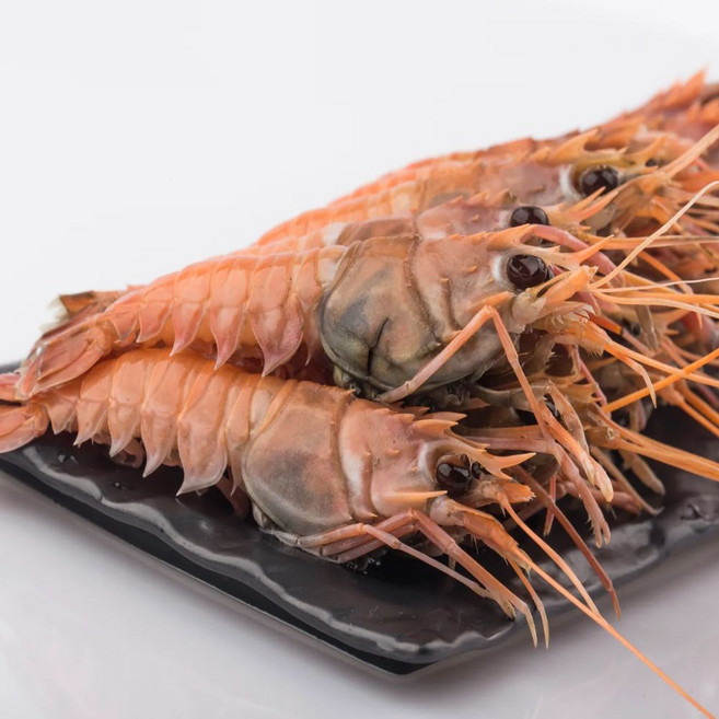 [베셀코] 횟감용 손질딱새우 급냉 손님상, 15개, 150g