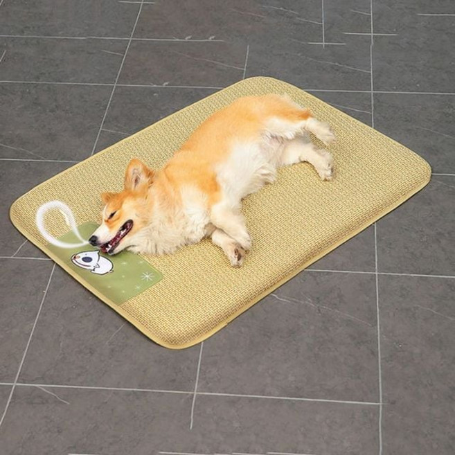 반려견방석 반려동물 돗자리 쿨매트 쿨방석 45x60cm pls*394722