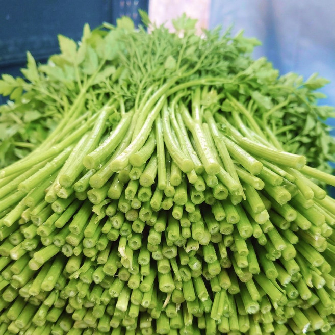 [타임특가]농협이 선별한 신선한 돌미나리, 1박스, 2kg