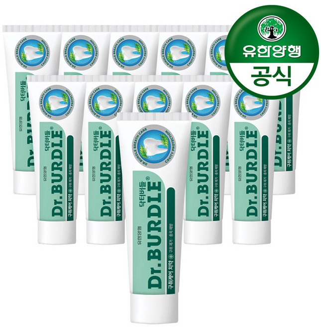 닥터버들 구취케어 치약, 100g, 12개