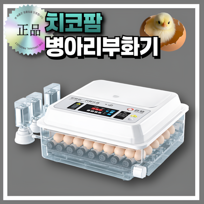 치코팜 병아리 부화기 자동 온도조절 가정용 계란 달걀 회전, 36개, 화이트