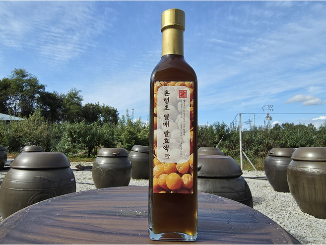 은행식초 8년숙성 은행열매초 발효액 500ml, 1개