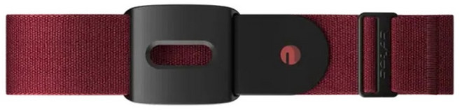 폴라 Polar Verity Sense 스포츠 Peloton H10 버튼 광학식 XXL, 와인 표준사이즈 Verity Sense, 1개