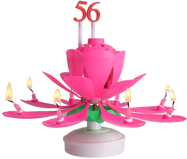 파티라이프 숫자 연꽃초 + 숫자 세트, 1개, 핑크