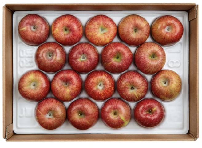 국내산 경북 통상 사과 10kg 38개입 내외, 1박스