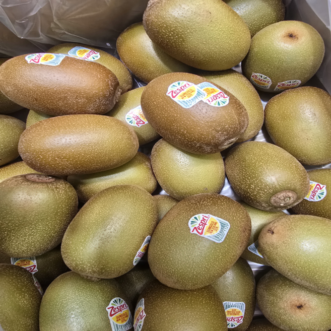 제스프리 고당도 골드키위, 2.5kg 랜덤과, 1개