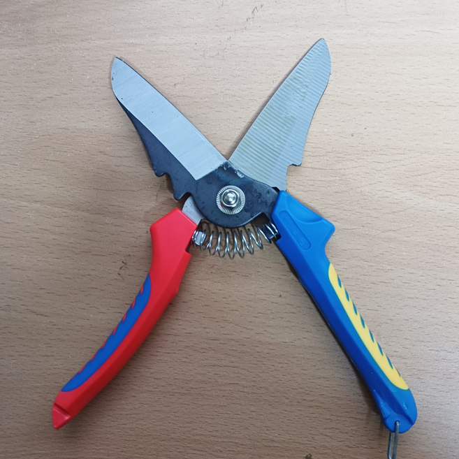 마늘 양파 전용 다용도 가위, 1개