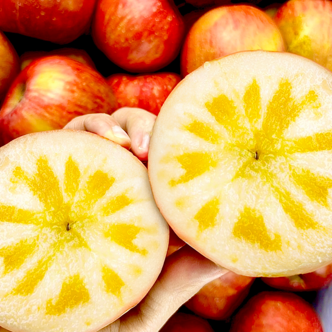 매일먹는 청송 꿀사과 가정용 흠과, 1개, 10kg