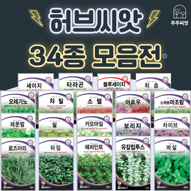 허브씨앗 모음 허브씨 바질 로즈마리 라벤더 딜 레몬밤 페퍼민트 캐모마일 타임 세이지, 29. 캣닙 800립, 1개