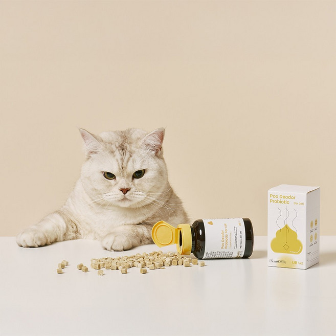 자유펫 고양이 영양제 푸 디오더 프로바이오틱스 포 캣, 1개, 장건강/유산균, 30회분