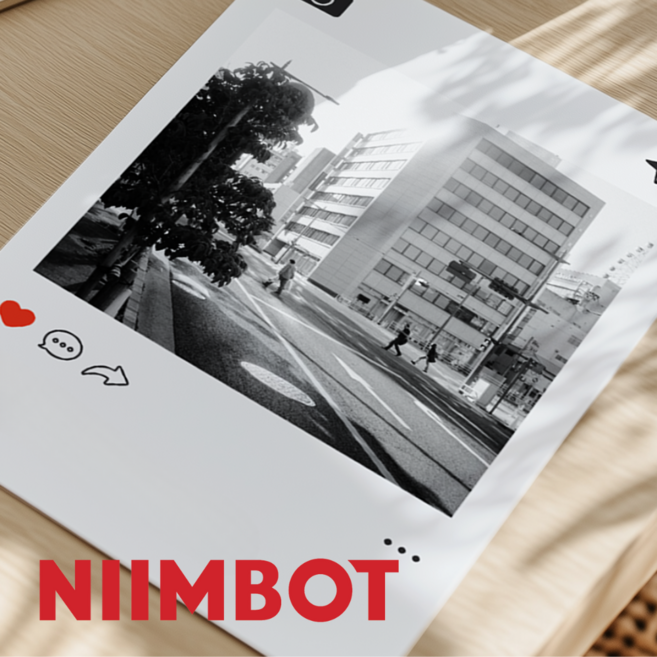 Niimbot B21 Pro B2 Pro B1 Pro 라벨프린터 전용 라벨지 (포토인화지/듀얼컬러 라벨지), 포토인화지 사각꽃테두리