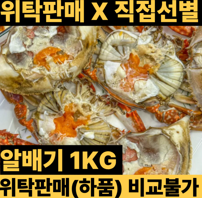국내산 생물 알배기 활꽃게, 1개, 1kg
