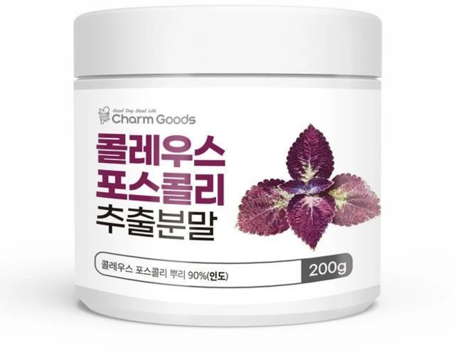 콜레우스포스콜리 추출분말 콜레우스 뿌리 포스콜린 피크노제놀 허브 콜레우스포스콜리가루 효능 추천 천연식물 체지방 빨강물 Coleus Forskohlii 200g, 1개 - 쿠팡