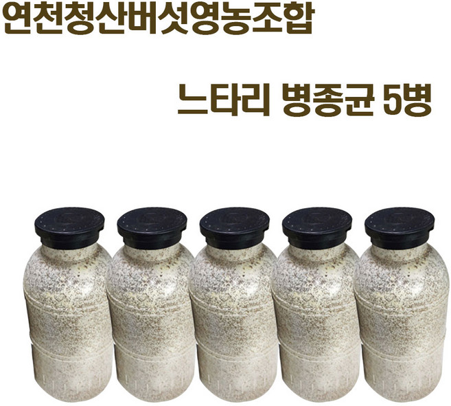 칡느타리 원목접종 흑색느타리 종균 재배 버섯 키우기 5병, 5개, 흑색느타리버섯 종균(접종용)