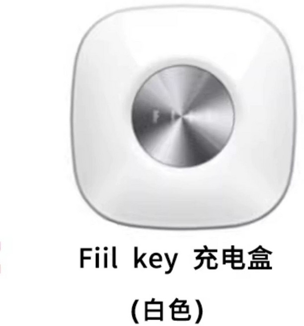 필 FIIL Key 글로벌버전 재고보유 ANC 커널형 오픈형 무선 블루투스 이어폰, P. 키 화이트 충전 케이스, A. 공식 표준