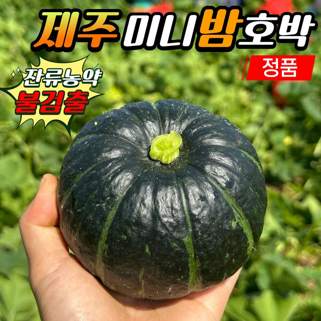 포슬포슬 제주 미니 단호박 보우짱, 1개, 10kg
