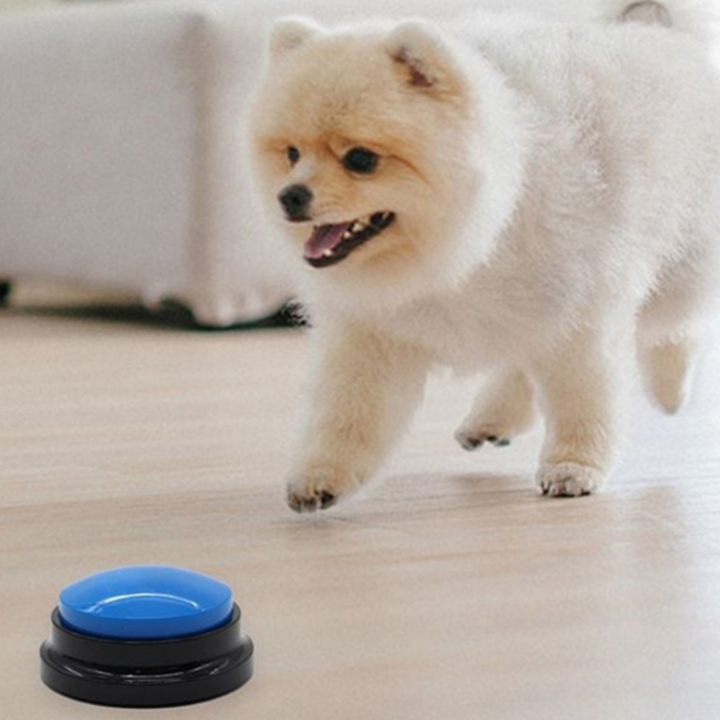 반려동물 버튼 간식벨 지능 학습도구 훈련벨 소통 음성녹음, 1개, ps 퍼플