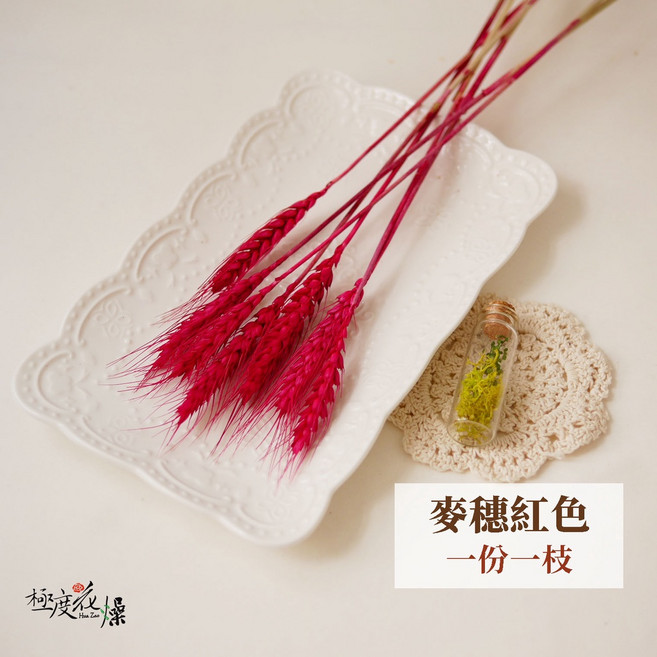 極度花燥 乾燥小麥 麥穗, 天然麥穗,紅色,一枝,買三件折15