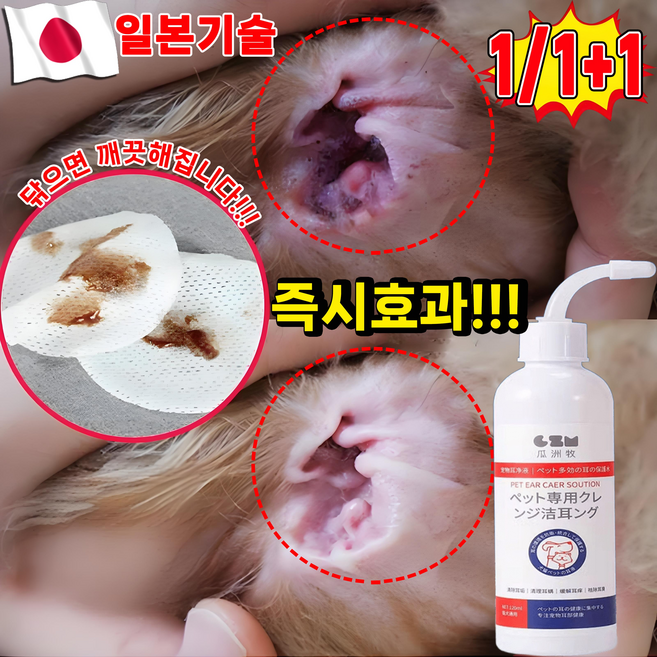 [국내배송] 1/1+1 강아지 귀 세정제 귀염 고양이 귀청소 외이염 귀냄새 제거 클리너 진드기 살균율99.9999% 포장 랜덤 증정, 1개, 120ml