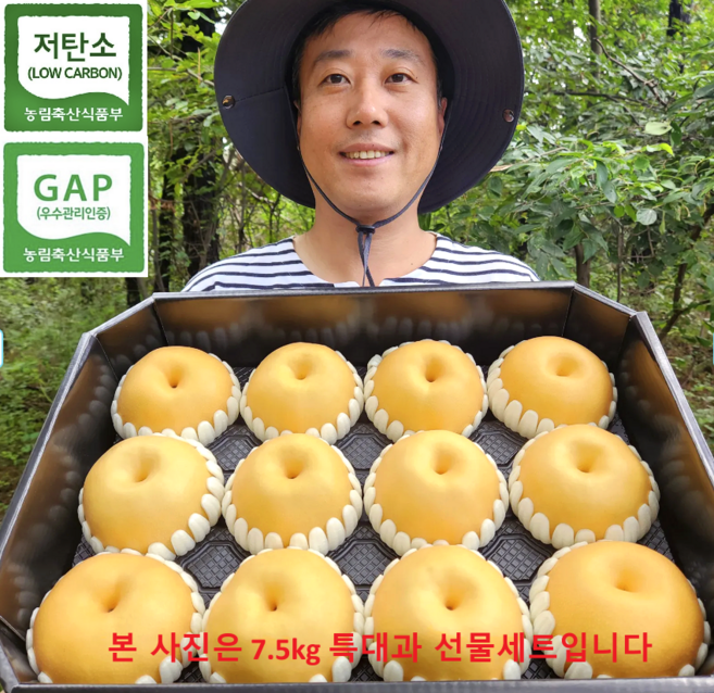 [상위1%생산자직송] 햇배 신고배 설 명절 선물세트 고당도 제수용, 1박스, 특대과7.5kg (선물세트)